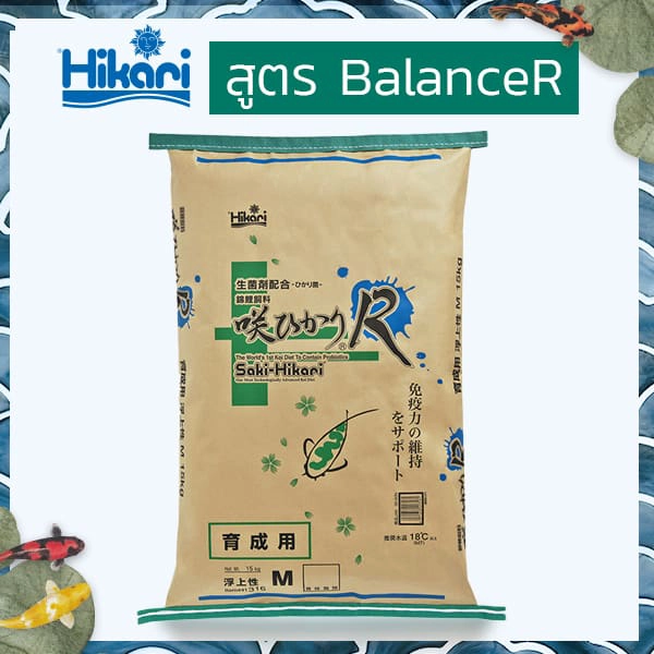 อาหารปลาคาร์ฟ สูตร Balance แนะนำ ใช้เป็นอาหารหลักได้ทุกวัน