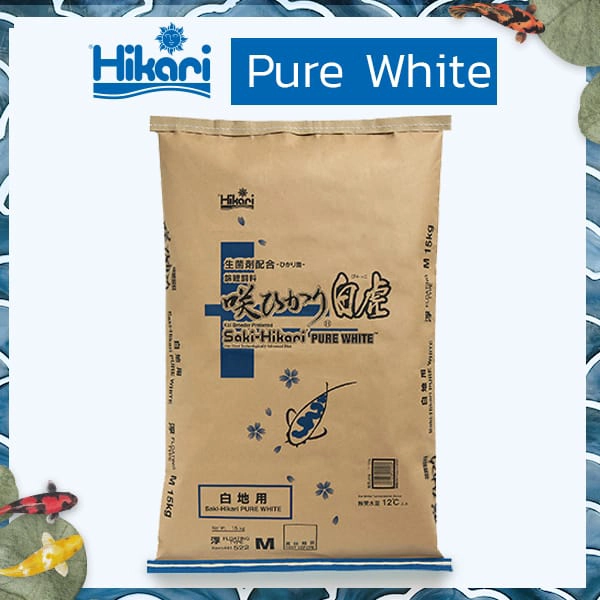 อาหารปลาคาร์ฟสูตร Pure White ช่วยเร่งสีขาวบนตัวปลา