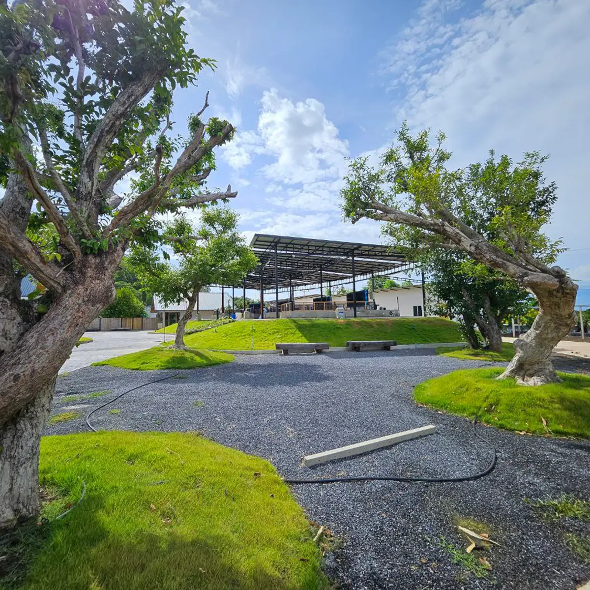 farm-2